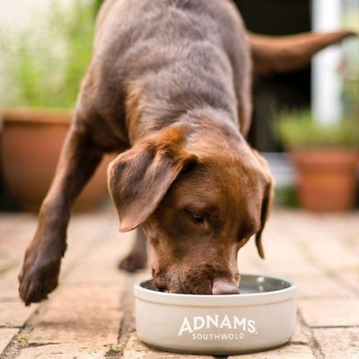 Adnams Cellar & Kitchen