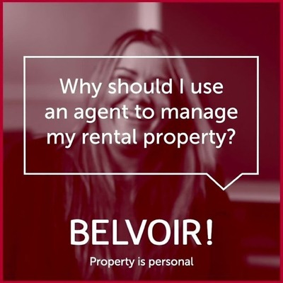 Belvoir Lettings