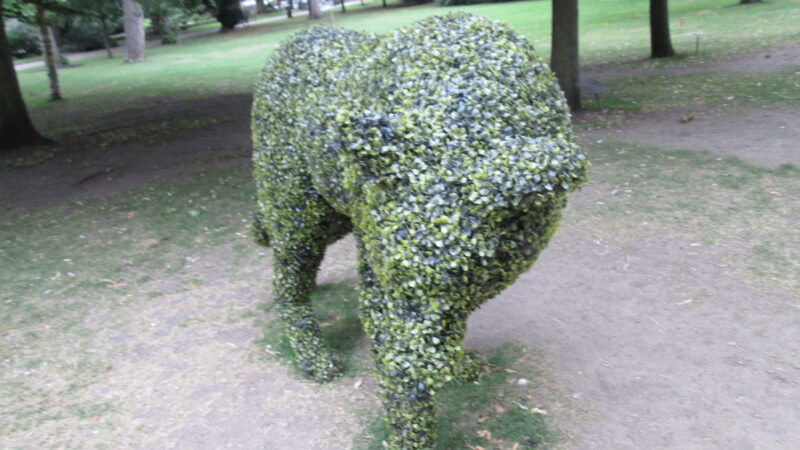 wolf trails bury st edmunds abbey gardens places visit 17 topiary wolf artist steve manning anna a hradsky 3631 explore bury st edmunds