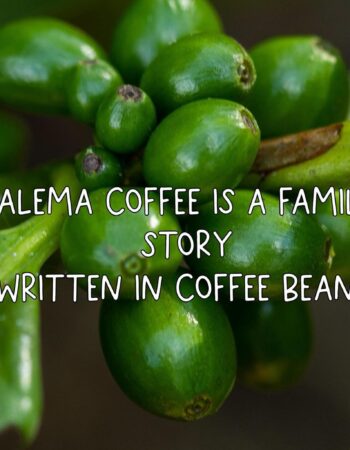 ALEMA Coffee